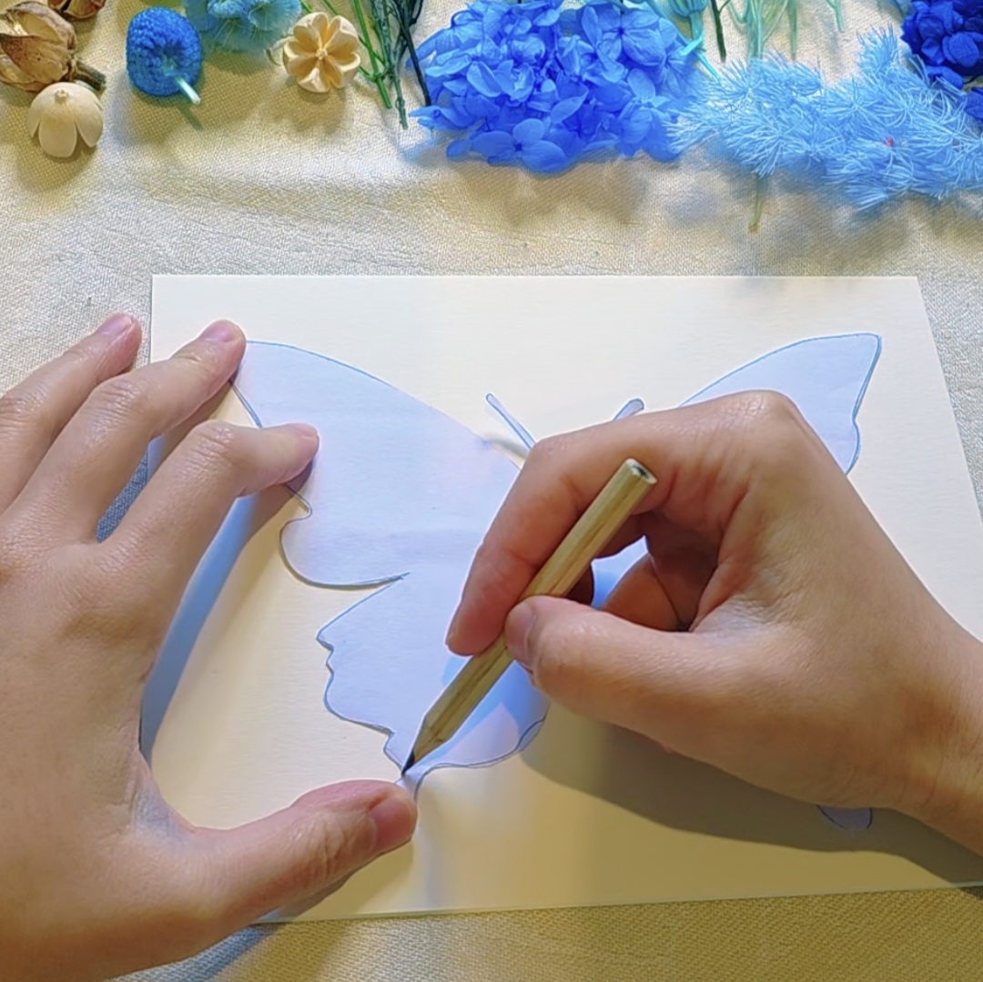 Sketch the butterfly