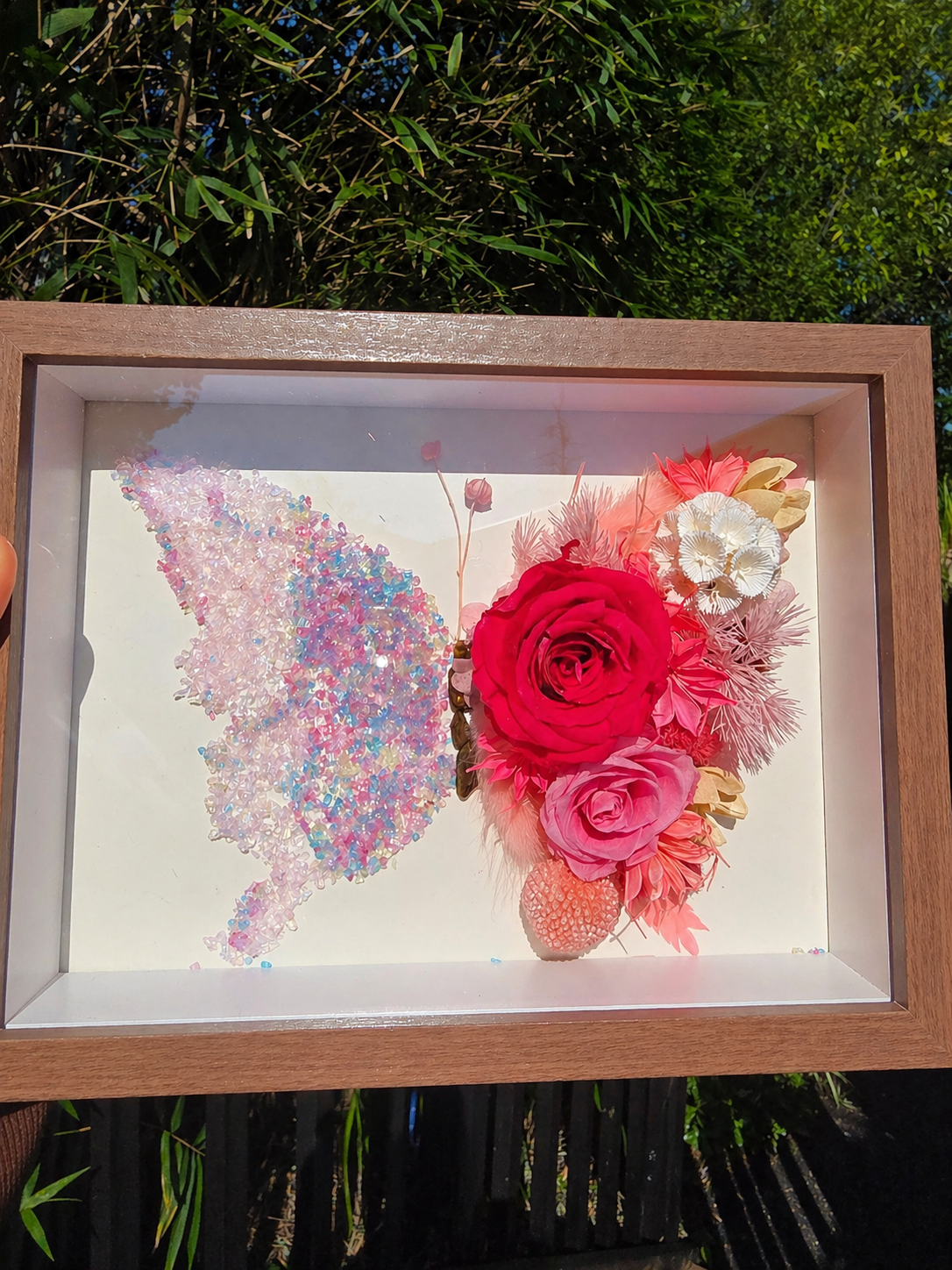 Raspberry Bloom Butterfly Frame Kit