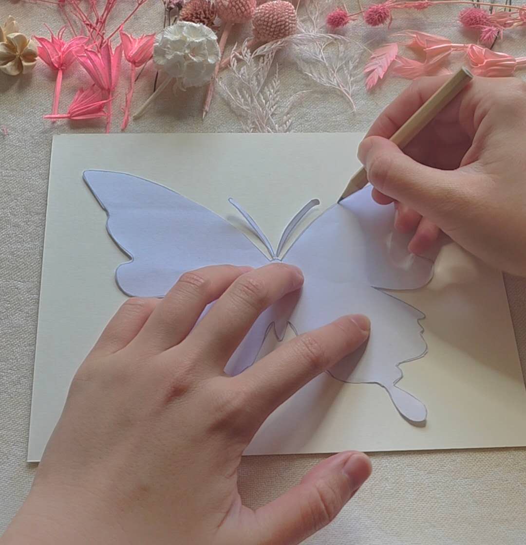 Sketch the butterfly